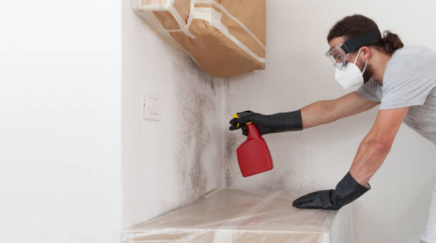Professional Attic Mold Removal technician working in Englishtown, NJ