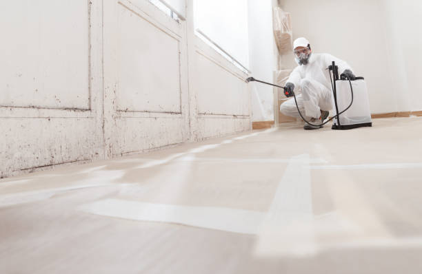 24/7 Emergency Attic Mold Removal experts in Englishtown, NJ