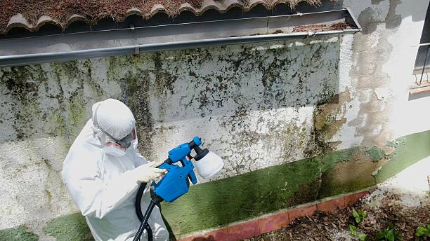 Trusted Bathroom Mold Removal service in Englishtown, NJ - Cheap Mold Removal